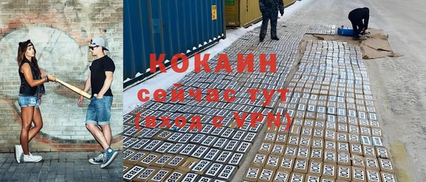 гидра Алексеевка