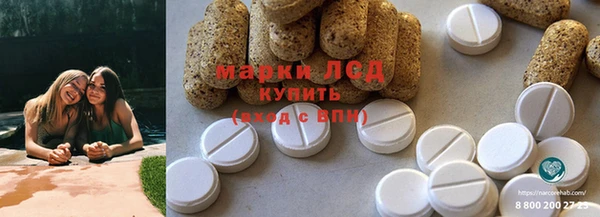 apvp Алексин