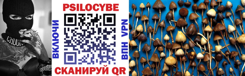 Псилоцибиновые грибы Cubensis Крымск